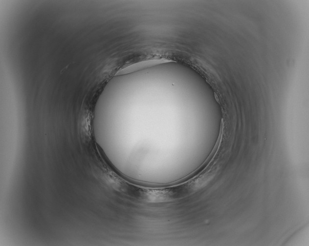 X0000111880336200907231432