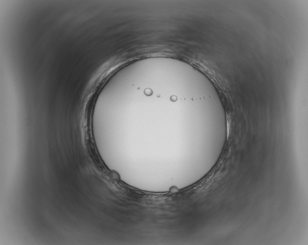X0000111880339200907231431