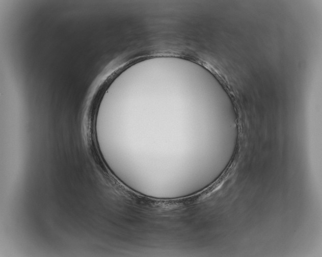 X0000111880343200907231431