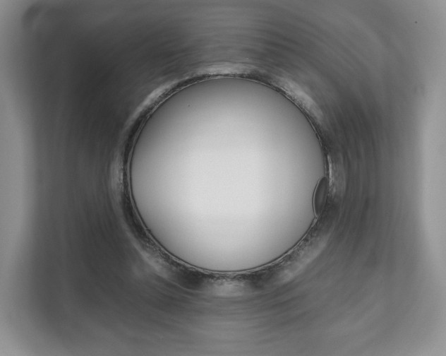 X0000111880348200907231431