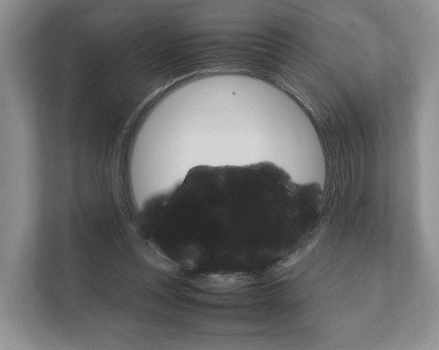 X0000111880351200907231431