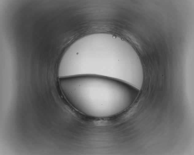 X0000111880362200907231432