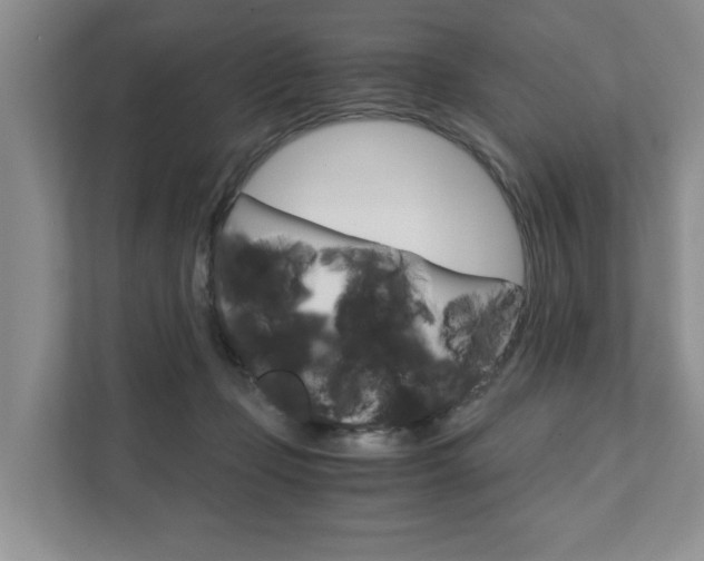 X0000111880365200907231432