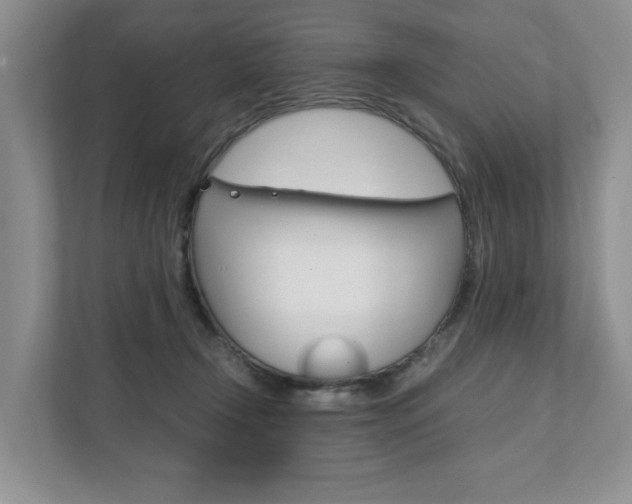 X0000111880366200907231432