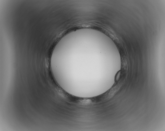 X0000111880374200907231432
