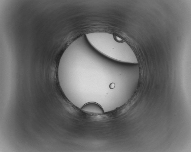 X0000111880379200907231432