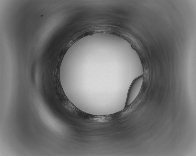 X0000111880381200907231432