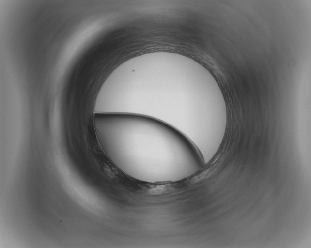 X0000111880382200907231432