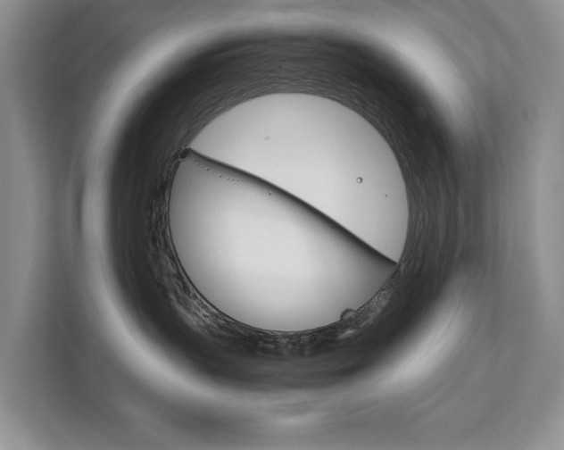 X0000111880383200907231432