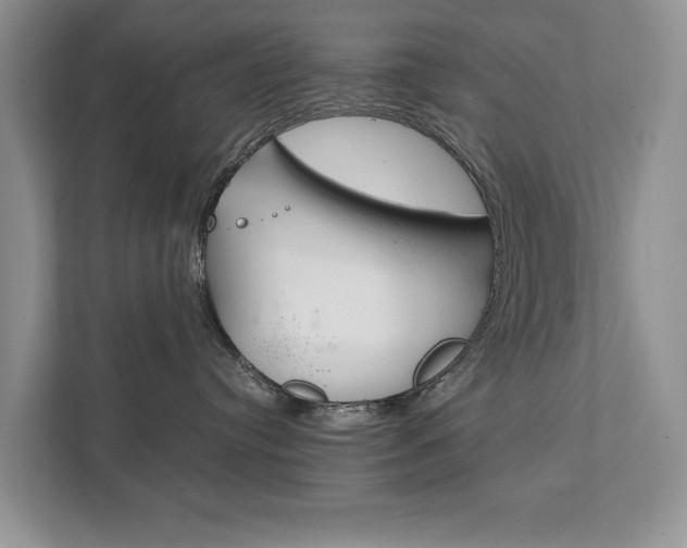X0000111880384200907231432