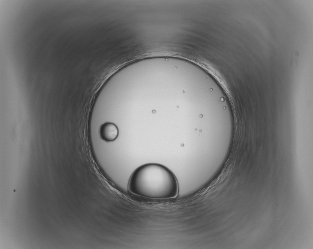 X0000111880385200907231431