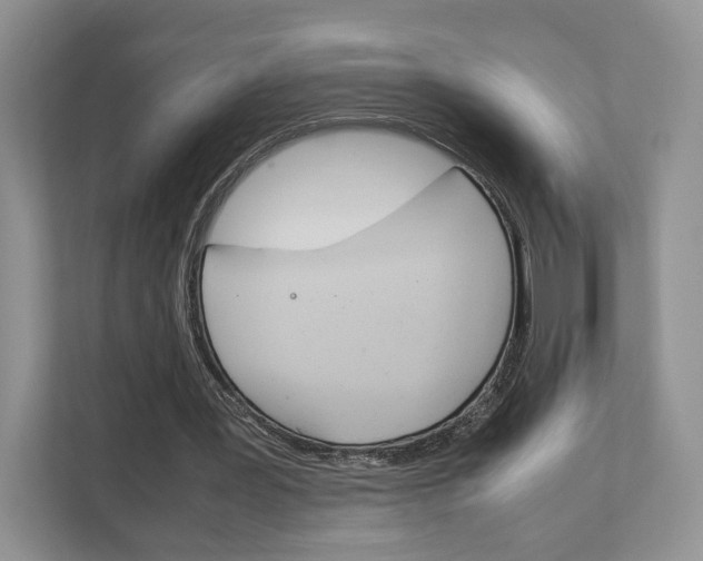 X0000111880387200907231431