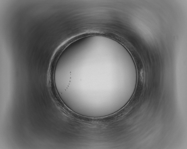 X0000111880388200907231431