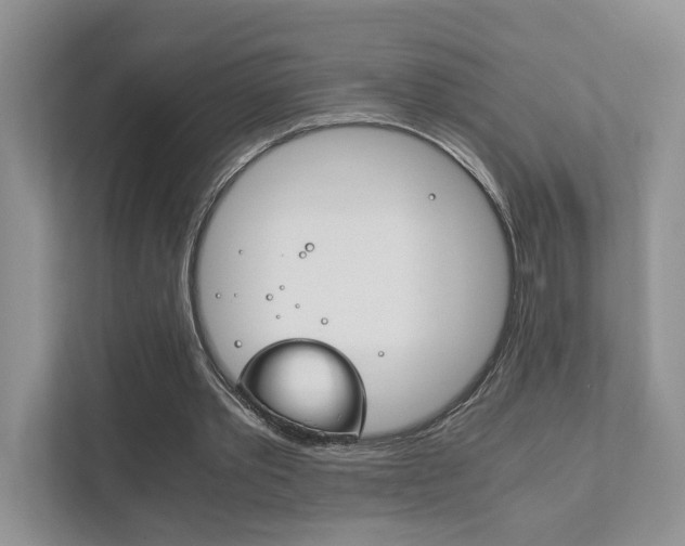 X0000111880389200907231431
