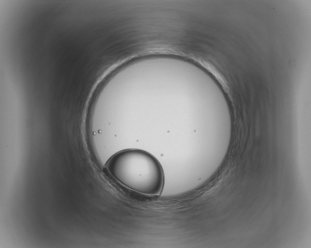 X0000111880391200907231431