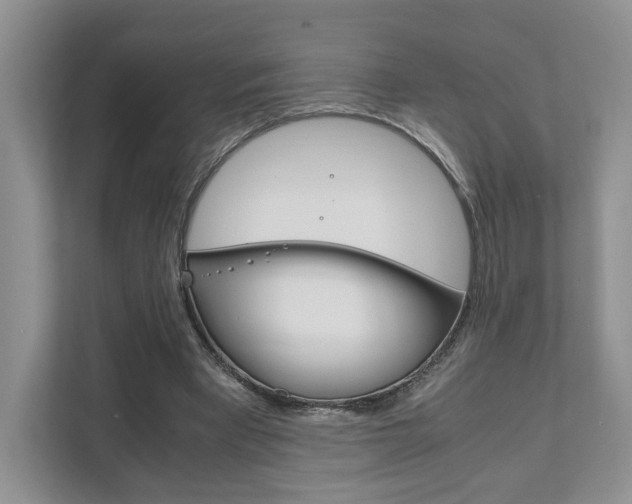 X0000111880393200907231431