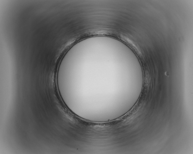 X0000111880394200907231431