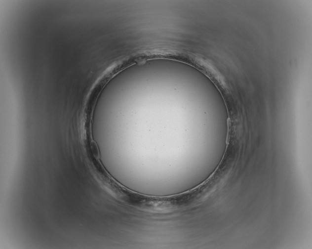 X0000111880395200907231431
