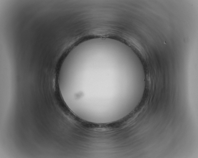 X0000111880404200907231431