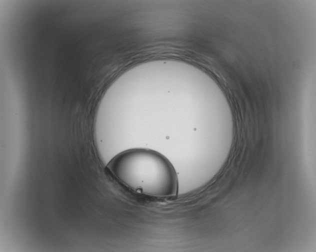X0000111880411200907231431
