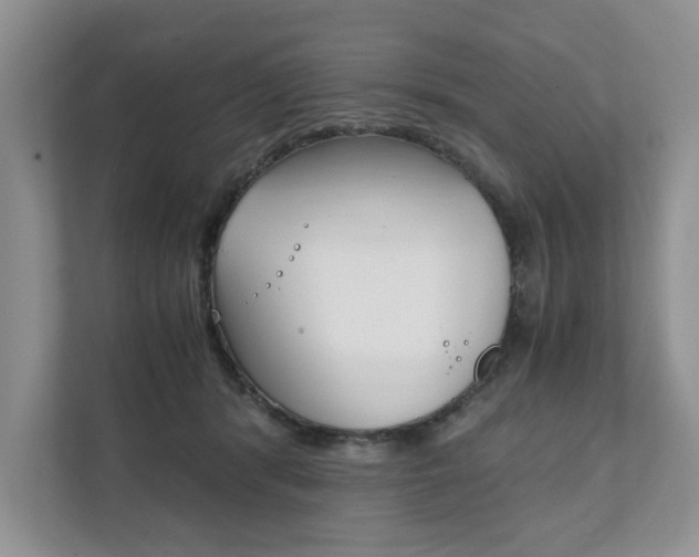 X0000111880416200907231431