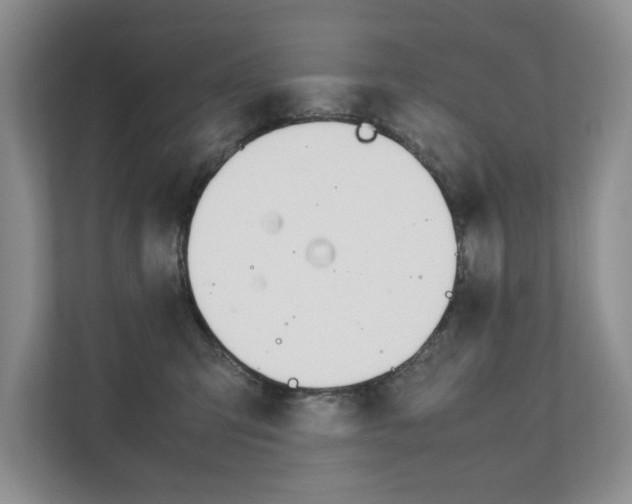 X0000111880423200907231431
