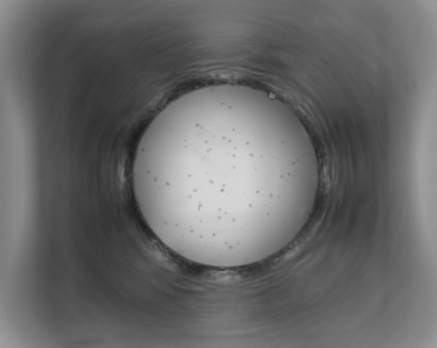 X0000111880424200907231431