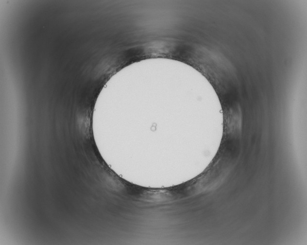 X0000111880427200907231431