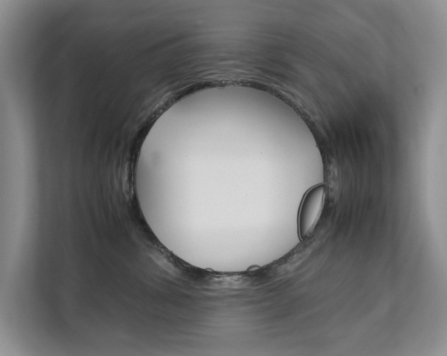X0000111880428200907231431