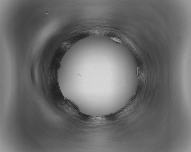 X0000111880429200907231431