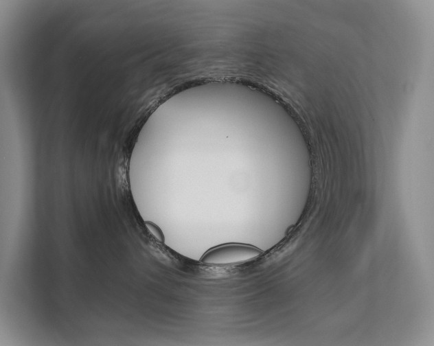 X0000111880432200907231431