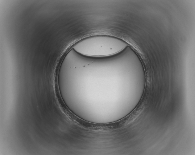 X0000111880434200907231430
