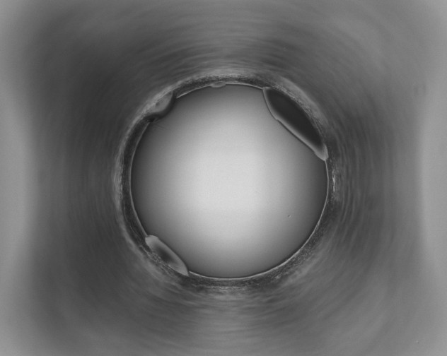 X0000111880436200907231430