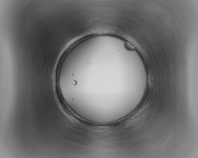 X0000111880438200907231430