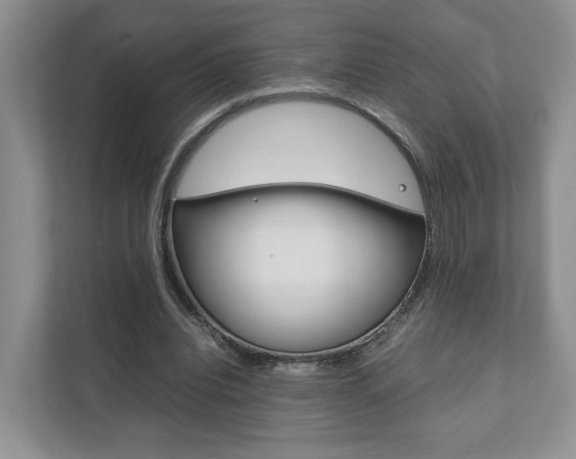 X0000111880440200907231430