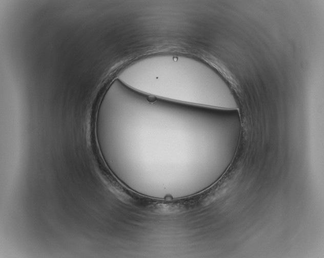 X0000111880442200907231430