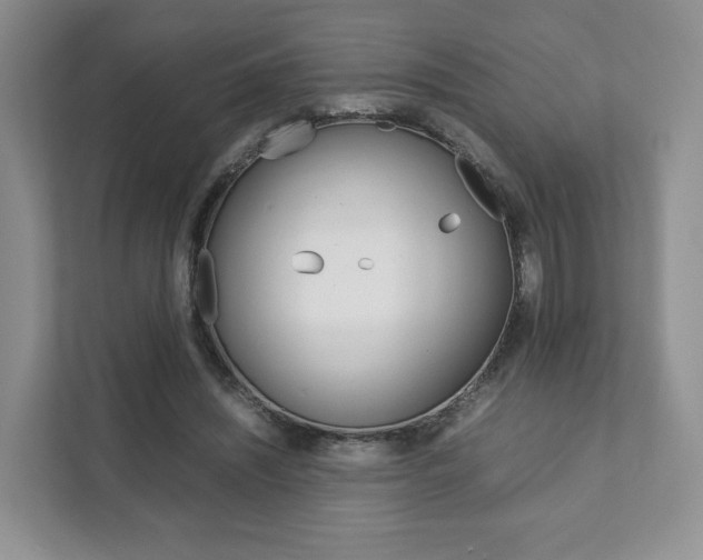 X0000111880444200907231430