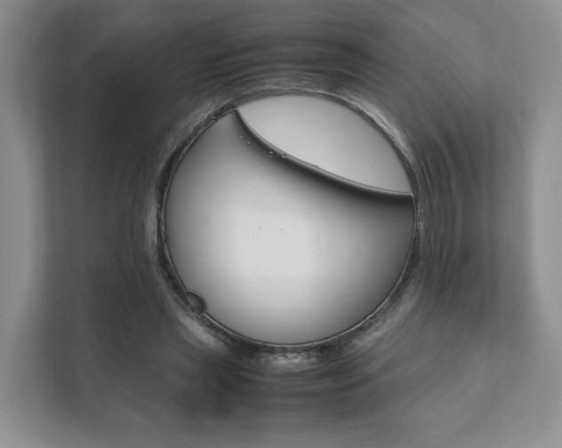 X0000111880445200907231430