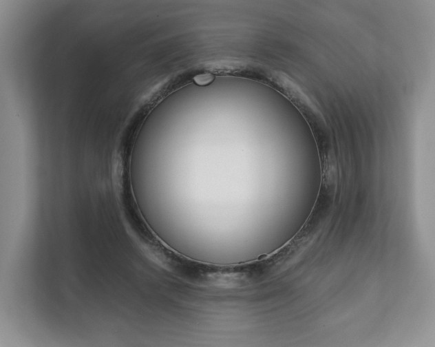 X0000111880448200907231430