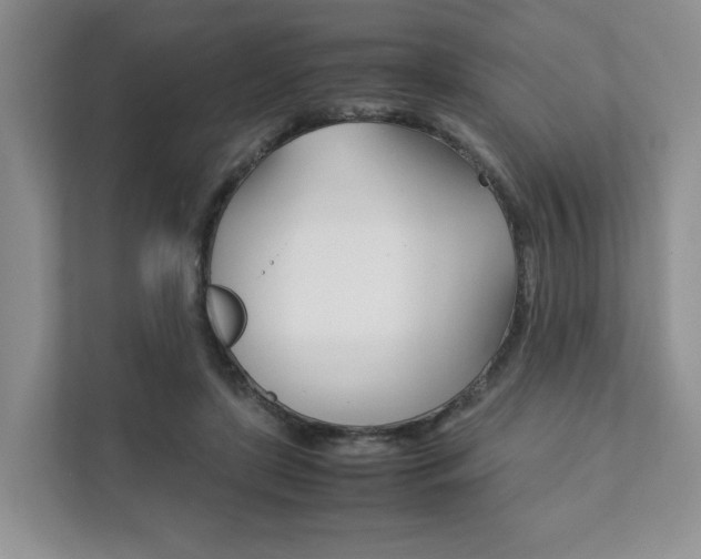 X0000111880451200907231430