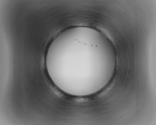 X0000111880453200907231430