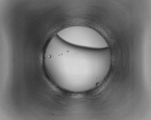 X0000111880454200907231430