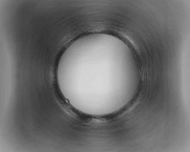 X0000111880455200907231430
