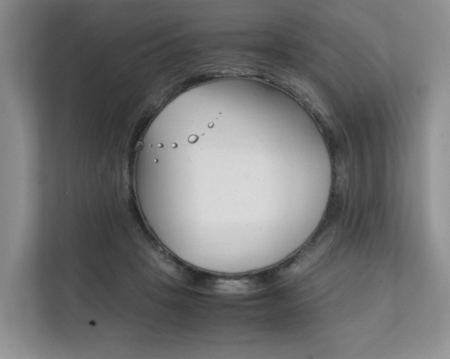 X0000111880457200907231430