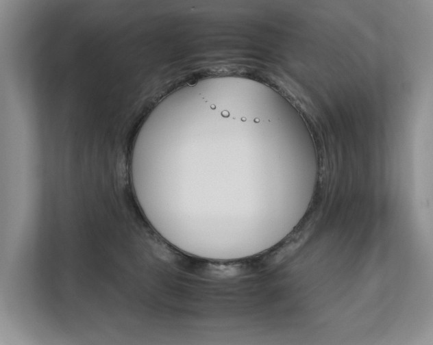 X0000111880469200907231431