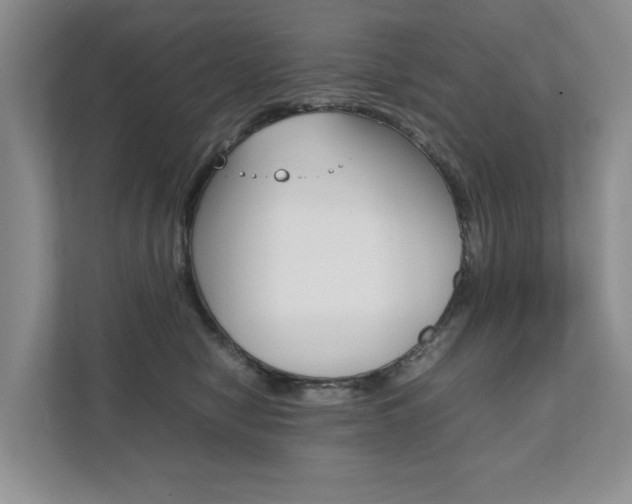 X0000111880470200907231431