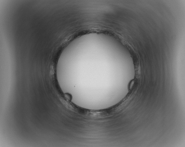 X0000111880472200907231431