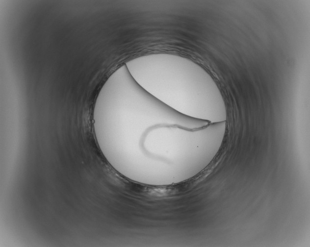 X0000111880473200907231431