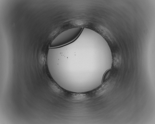 X0000111880476200907231431