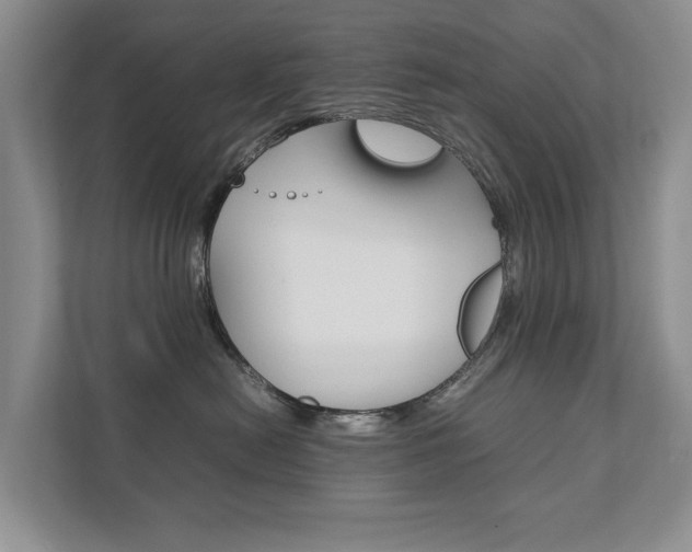 X0000111880478200907231431